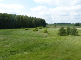 WILLA Z WIDOKIEM NA PANORAMĘ LASU